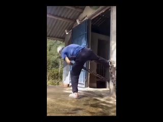 video by vide funny - funny videos